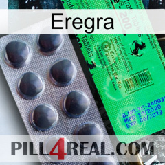 Eregra new04